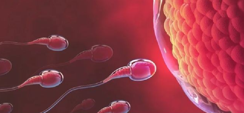 Infertility Specialist in Andheri West